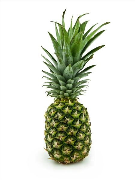 Varkombi mit Einkaufsmatrix und Grundpreisen