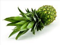 Varkombiartikel Kind in Gr&ouml;&szlig;e Medium